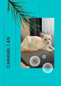 caramel